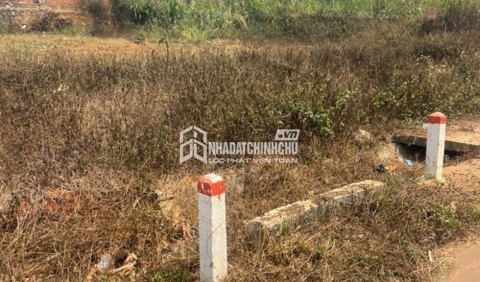 ĐẦU TƯ SINH LỜI – CHÍNH CHỦ CẦN BÁN ĐẤT Tại  Xã Hiệp Thạnh, Huyện Đức Trọng, Lâm Đồng