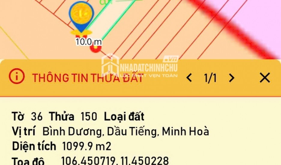 CƠ HỘI ĐẦU TƯ Lô Đất Sào Cao Su đang khai thác  Đường Minh Hòa 20 xã Minh Thạnh, Bình Dương