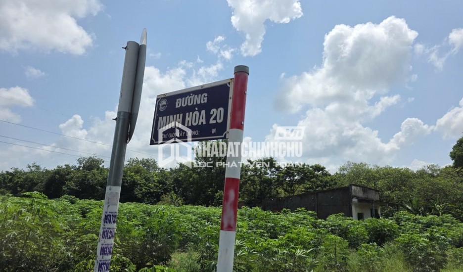CƠ HỘI ĐẦU TƯ Lô Đất Sào Cao Su đang khai thác  Đường Minh Hòa 20 xã Minh Thạnh, Bình Dương