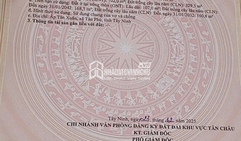 ĐẤT ĐẸP - VỊ TRÍ ĐẮC ĐỊA - Chính Chủ Bán Nhà Đất MẶT TIỀN Đường DT785 Ấp Tân Xuân, Tân Phú, Tây Ninh