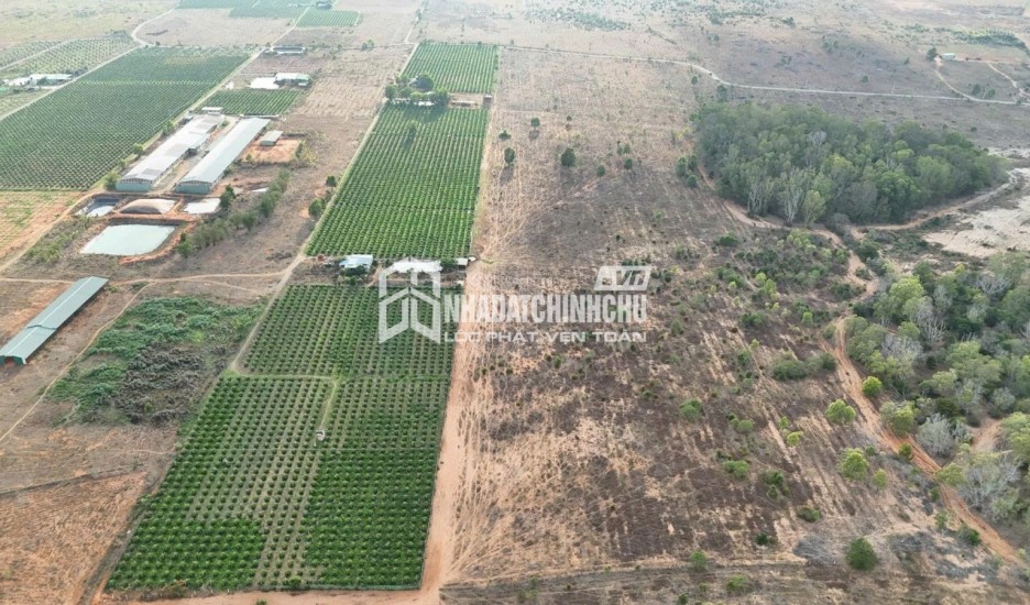 CHÍNH CHỦ BÁN TRANG TRẠI – KHU NGHỈ DƯỠNG 10,3HA – GIÁ CHỈ 23,5 TỶ