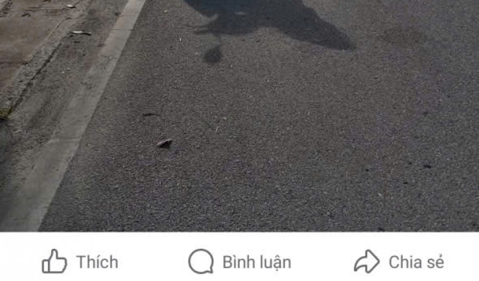 CHÍNH CHỦ BÁN NHANH ĐẤT có sẵn nhà cấp 4 vị trí đắc địa mặt đường tỉnh lộ 419 Tam Chúc chùa Hương