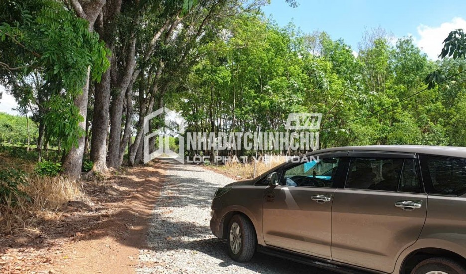 ĐẦU TƯ SINH LỜI – CHÍNH CHỦ CẦN BÁN ĐẤT TẠI Thị trấn Tân Khai, huyện Hớn Quản, Bình Phước