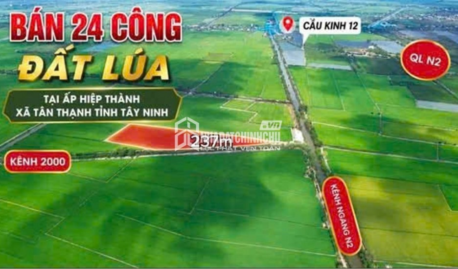 ĐẤT ĐẸP – ĐẦU TƯ SINH LỜI – CẦN BÁN 3 LÔ ĐẤT GIÁ TỐT – Ấp Hiệp Thành, Xã Tân Thạnh, Tây Ninh
