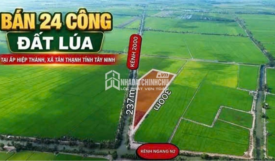 ĐẤT ĐẸP – ĐẦU TƯ SINH LỜI – CẦN BÁN 3 LÔ ĐẤT GIÁ TỐT – Ấp Hiệp Thành, Xã Tân Thạnh, Tây Ninh