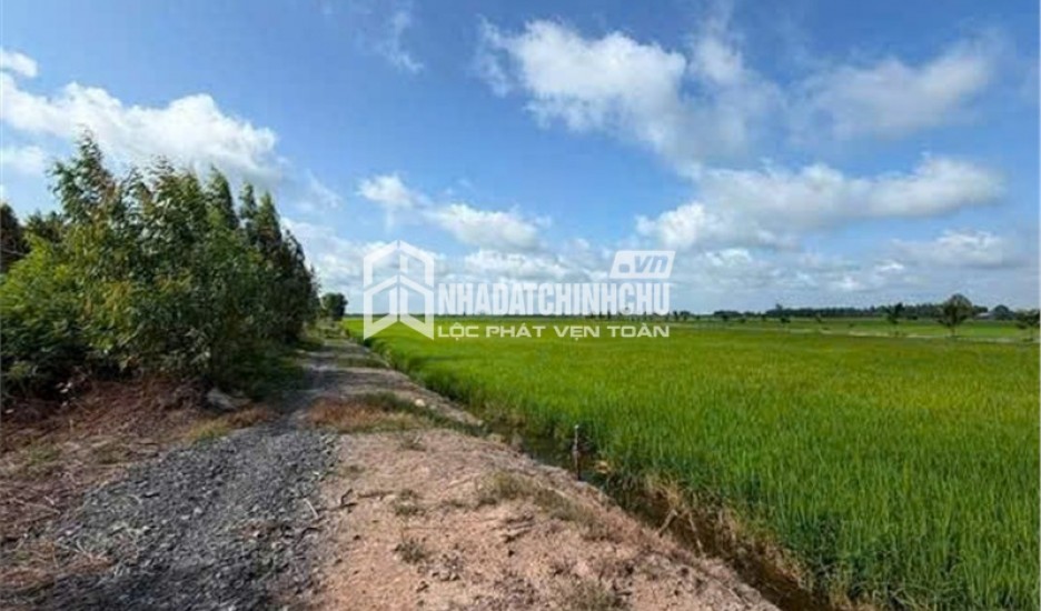 ĐẤT ĐẸP – ĐẦU TƯ SINH LỜI – CẦN BÁN 3 LÔ ĐẤT GIÁ TỐT – Ấp Hiệp Thành, Xã Tân Thạnh, Tây Ninh