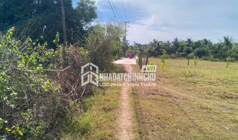 CẦN BÁN ĐẤT THÔN NINH ÍCH, XÃ BẮC NINH HÒA, TỈNH KHÁNH HÒA