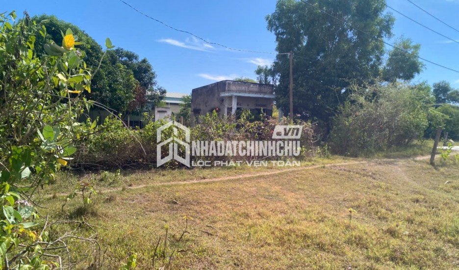 CẦN BÁN ĐẤT THÔN NINH ÍCH, XÃ BẮC NINH HÒA, TỈNH KHÁNH HÒA