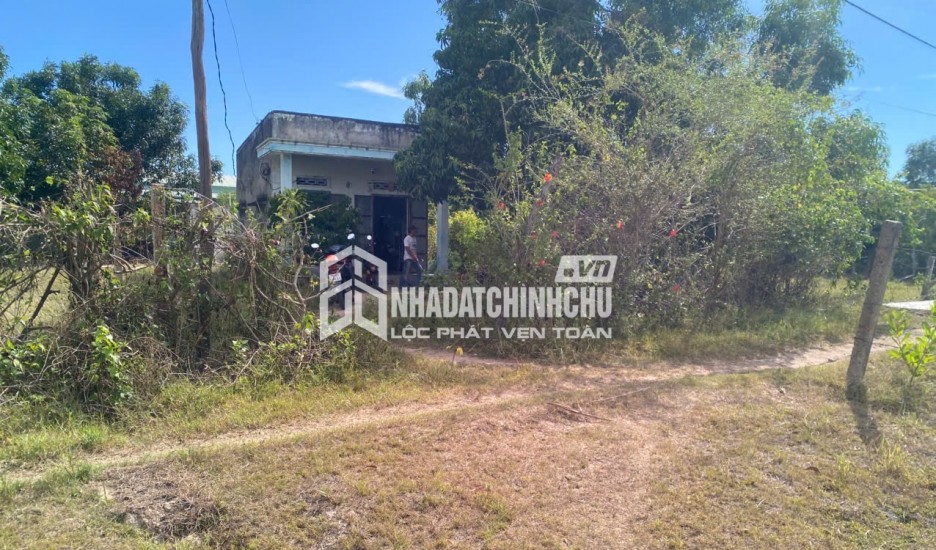 CẦN BÁN ĐẤT THÔN NINH ÍCH, XÃ BẮC NINH HÒA, TỈNH KHÁNH HÒA