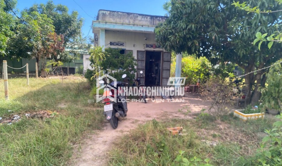CẦN BÁN ĐẤT THÔN NINH ÍCH, XÃ BẮC NINH HÒA, TỈNH KHÁNH HÒA
