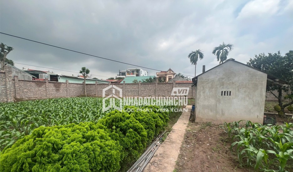 ĐẤT CHÍNH CHỦ- GIÁ TỐT BÁN NHANH LÔ ĐẤT VỊ TRÍ ĐẮC ĐỊA tại Huyện Khoái Châu, Hưng Yên