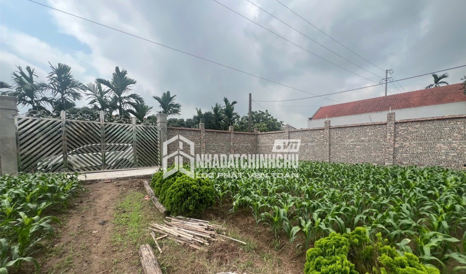 ĐẤT CHÍNH CHỦ- GIÁ TỐT BÁN NHANH LÔ ĐẤT VỊ TRÍ ĐẮC ĐỊA tại Huyện Khoái Châu, Hưng Yên