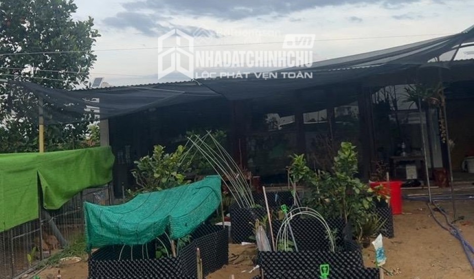 BÁN ĐẤT BIỆT THỰ VƯỜN 550M² HỘI AN - GẦN NGUYỄN TẤT THÀNH - CHỈ NHỈNH 11 TRIỆU/M²