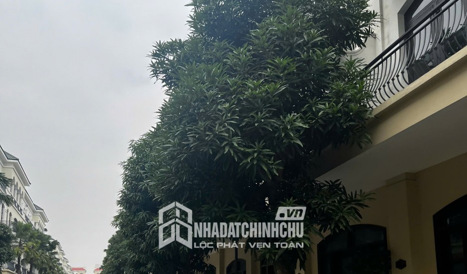 Liền Kề Chà Là Ocean Park 2 Giá Tốt Nhất 2026, Có Sổ Đỏ, Chuyển Nhượng Chính Chủ