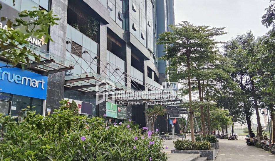 Bán Shophouse Ciputra Mặt Đường 30m - Dòng Tiền 55 Triệu/Tháng. Đẹp - Hiếm. Giá 29 tỷ