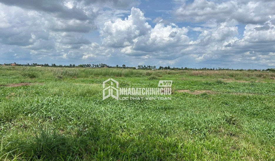 Cần bán đất Khu công nghiệp Phú Thuận, Bến Tre diện tích: 20.000m2