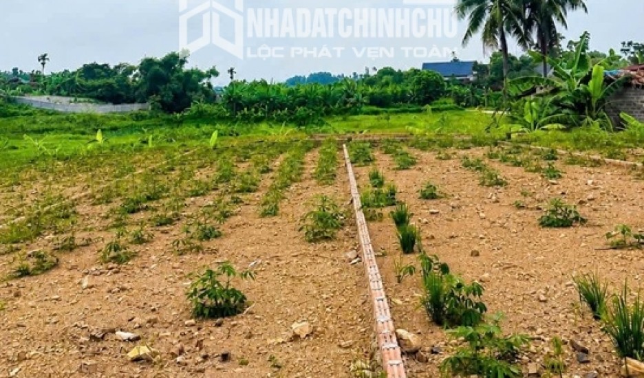 HOT HOT – CHÍNH CHỦ CẦN BÁN ĐẤT THỔ CƯ Xã Tu Vũ, huyện Thanh Thủy, tỉnh Phú Thọ