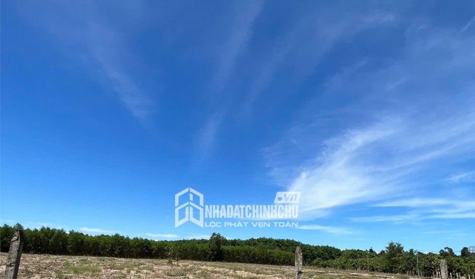 CƠ HỘI ĐẦU TƯ GIÁ TỐT- Chỉ Với 550Tr(còn thương lượng)- 1.058m² Đất Vườn GÓC 2 MẶT TIỀN Tại XUÂN LỘC