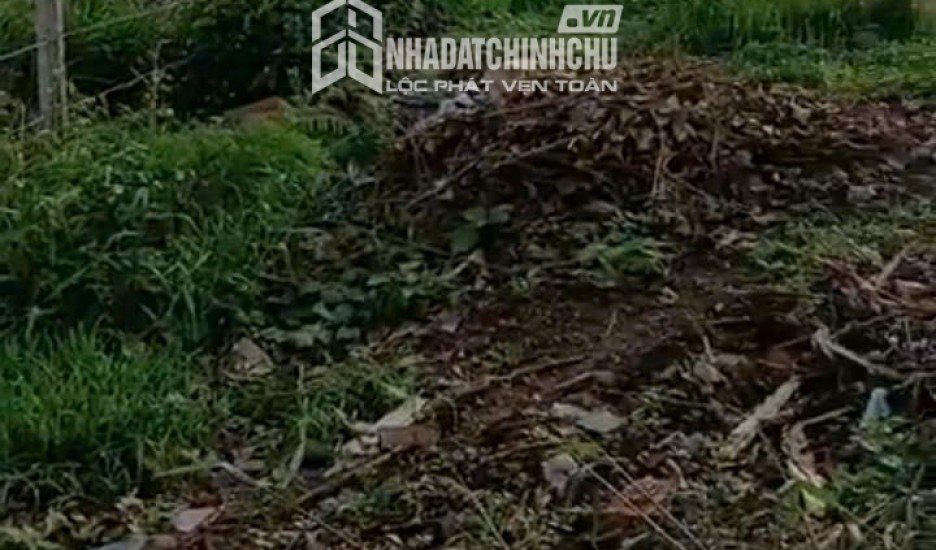 HOT HOT – CHÍNH CHỦ CẦN BÁN ĐẤT VIEW BIỂN HỒ Tại  THÔN NGHĨA HƯNG, NGHĨA HƯNG, CHƯ PĂH, GIA LAI