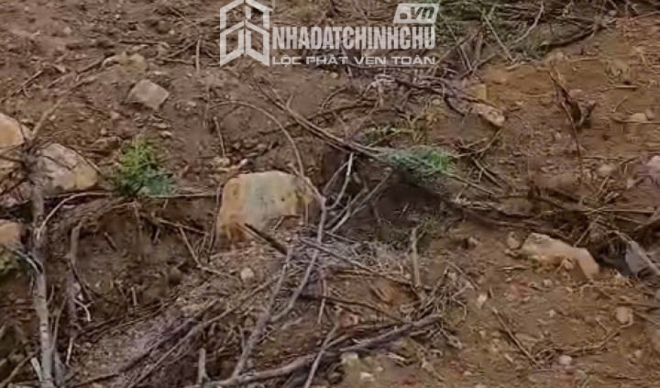 HOT HOT – CHÍNH CHỦ CẦN BÁN ĐẤT VIEW BIỂN HỒ Tại  THÔN NGHĨA HƯNG, NGHĨA HƯNG, CHƯ PĂH, GIA LAI