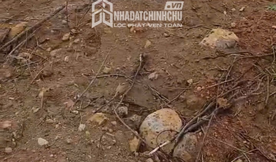 HOT HOT – CHÍNH CHỦ CẦN BÁN ĐẤT VIEW BIỂN HỒ Tại  THÔN NGHĨA HƯNG, NGHĨA HƯNG, CHƯ PĂH, GIA LAI