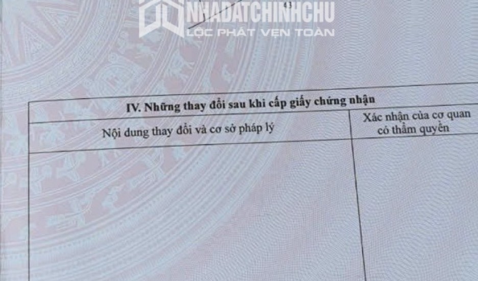 Chính Chủ Bán Đất Ruộng Đã Lên Líp sẵn Tại Ấp 2 Vụ(đường cái tôm) xã Tân Thạnh, Tây Ninh