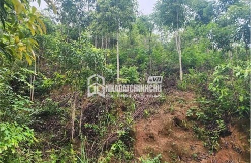 ĐẤT ĐẸP - GIÁ ĐẦU TƯ  – CHÍNH CHỦ CẦN BÁN NHANH  2 LÔ ĐẤT RẪY TẠI H. Đăk Glei, T. Kon Tum