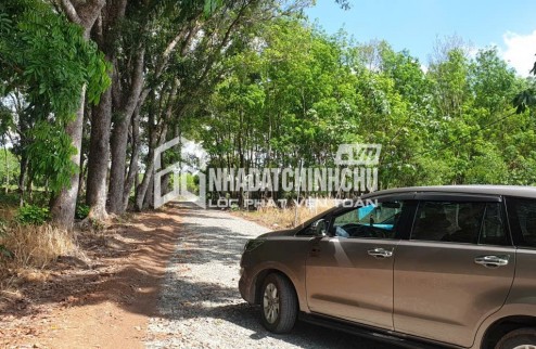 ĐẦU TƯ SINH LỜI – CHÍNH CHỦ CẦN BÁN ĐẤT TẠI Thị trấn Tân Khai, huyện Hớn Quản, Bình Phước