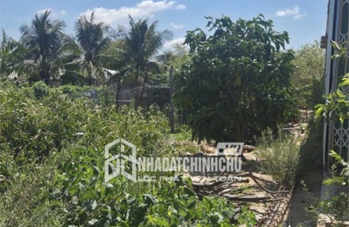 HOT HOT - CHÍNH CHỦ CẦN BÁN ĐẤT NÔNG NGHIỆP Thôn Thuận Lợi, Phước Thuận, Ninh Phước, Ninh Thuận
