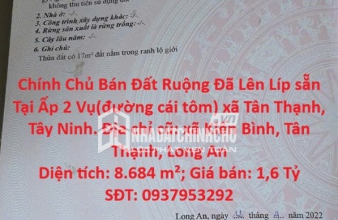 Chính Chủ Bán Đất Ruộng Đã Lên Líp sẵn Tại Ấp 2 Vụ(đường cái tôm) xã Tân Thạnh, Tây Ninh