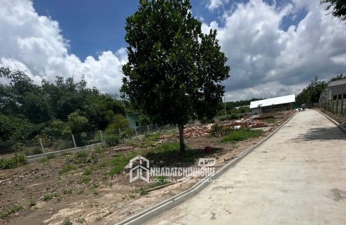 CHO THUÊ ĐẤT MẶT TIỀN ĐT748 – XÃ AN LẬP, HUYỆN DẦU TIẾNG, BÌNH DƯƠNG