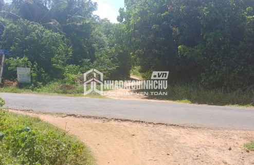 GIA ĐÌNH CẦN BÁN GẤP ĐẤT MẶT ĐƯỜNG HOÀNG HOA THÁM – GIÁ CHỈ 1,4 TRIỆU/M²