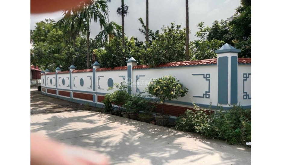 Cho thuê đất làm xưởng ở Xã Chương Dương, Huyện Thường Tín, Hà Nội