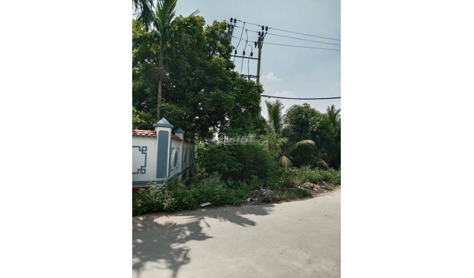 Cho thuê đất làm xưởng ở Xã Chương Dương, Huyện Thường Tín, Hà Nội